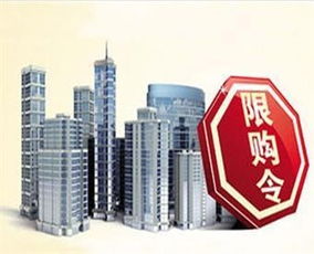 广州加强住房限购政策对房地产中介行业的影响与应对建议